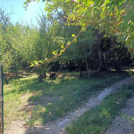 הוילה Molieres-sur-Ceze La Colline Aux Oiseaux, La Tranquillite Des Bois מראה חיצוני תמונה