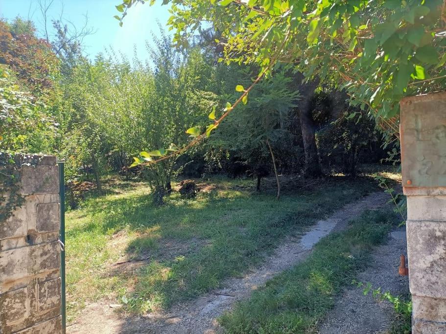 הוילה Molieres-sur-Ceze La Colline Aux Oiseaux, La Tranquillite Des Bois מראה חיצוני תמונה